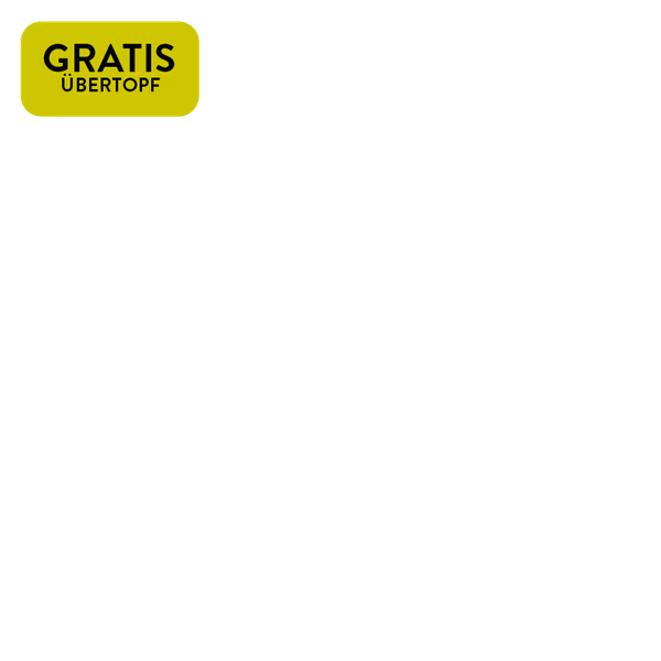 https://static.blumenshop.de/img/scale/600/600/magnolia/jcr:63265ed1-b6c6-4c20-aedb-14d3da4b9694/gratis-topf.2026-07-06-15-55-05.png