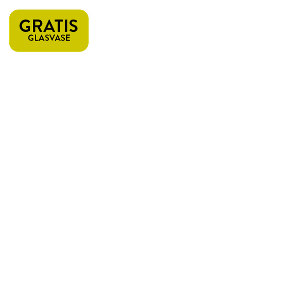 https://static.blumenshop.de/img/scale/600/600/magnolia/jcr:b13e8067-2e54-4eb4-869b-573c2345f8c0/gratis-glasvase.2026-06-24-12-11-26.png